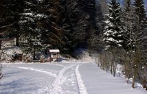 Wintersport